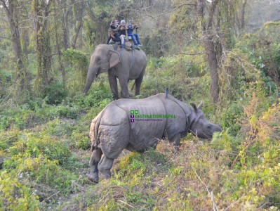 13 Days Discover Nepal Tour Cum Ghandruk Trekking