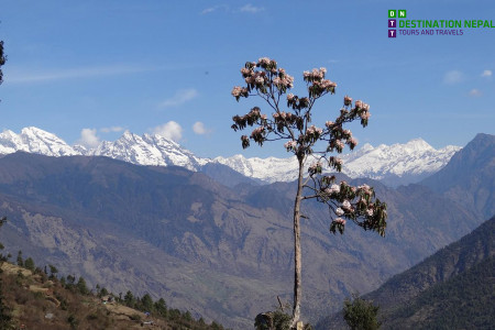 10 Days Langtang Valley Trek