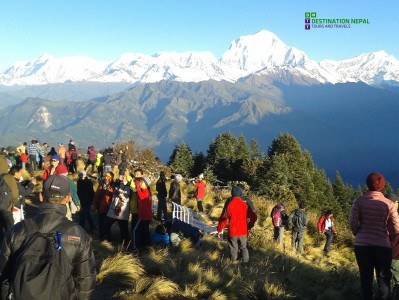 8 Days Ghorepani Poon Hill Trek