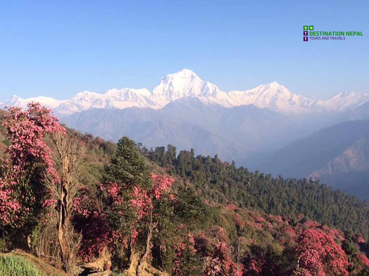 17 Days Annapurna Circuit with Tilicho Lake Trek