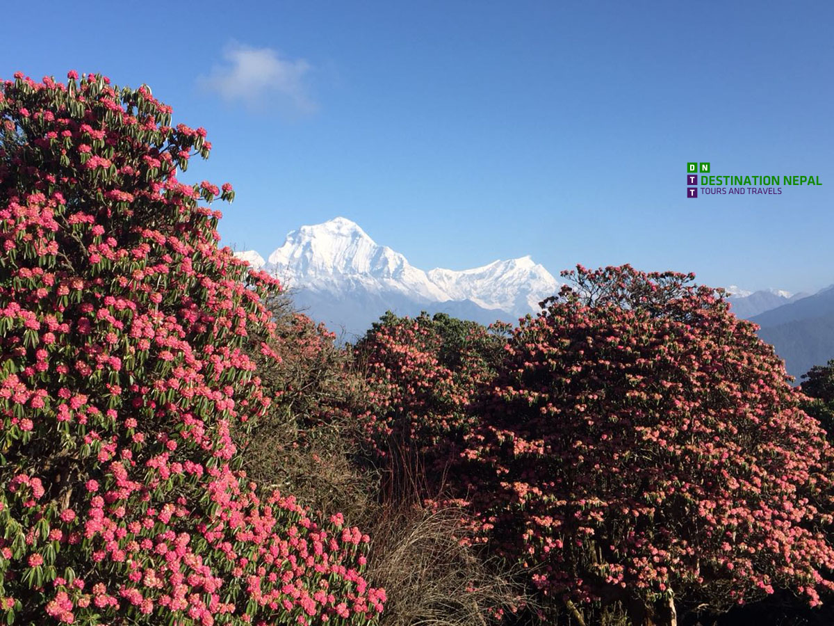 Annapurna Circuit