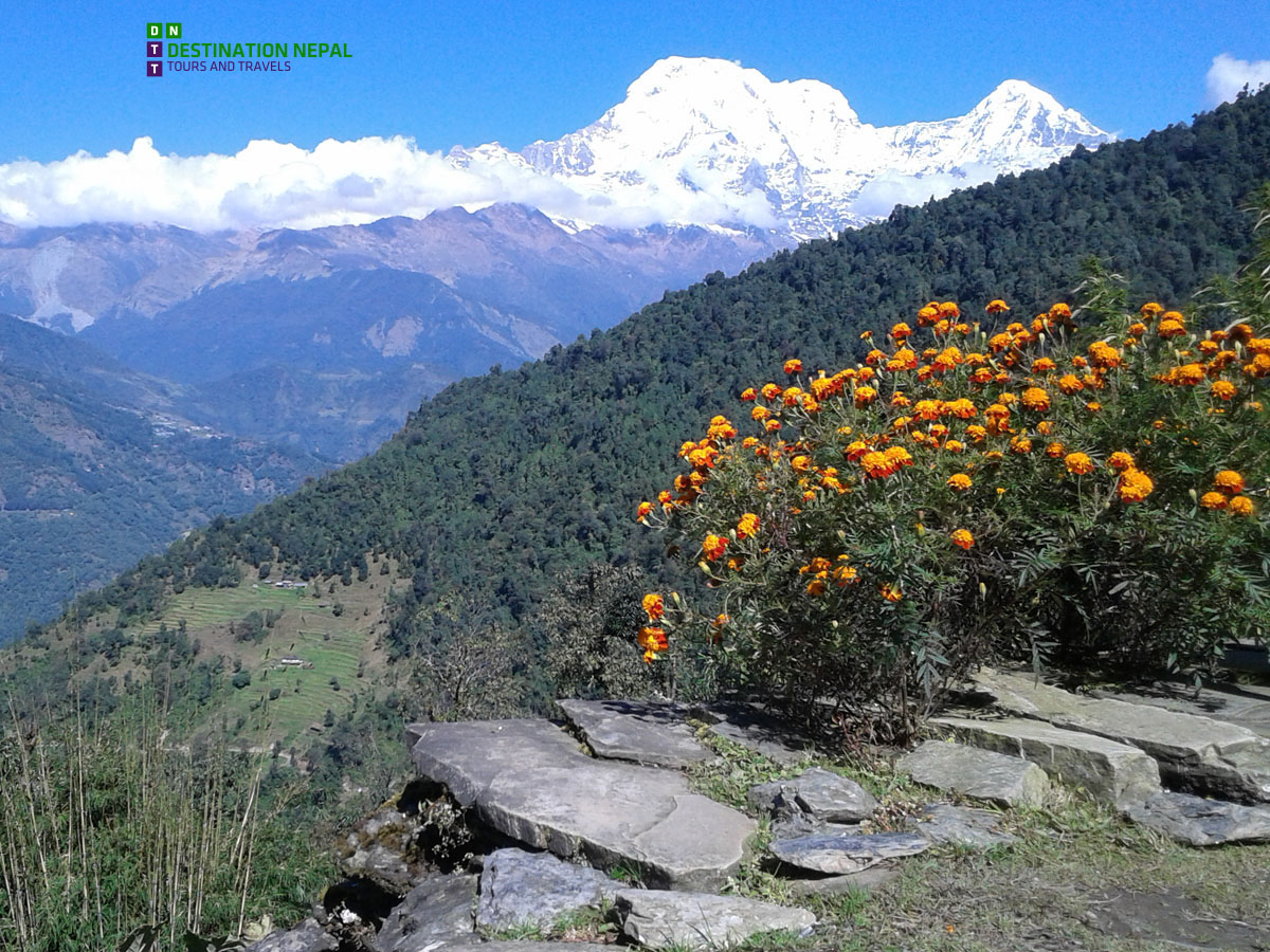 8 Days Kathmandu, Bandipur, Pokhara Tour with Trek